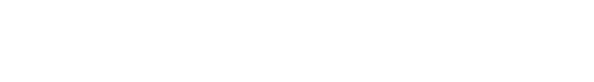 MetroFibre