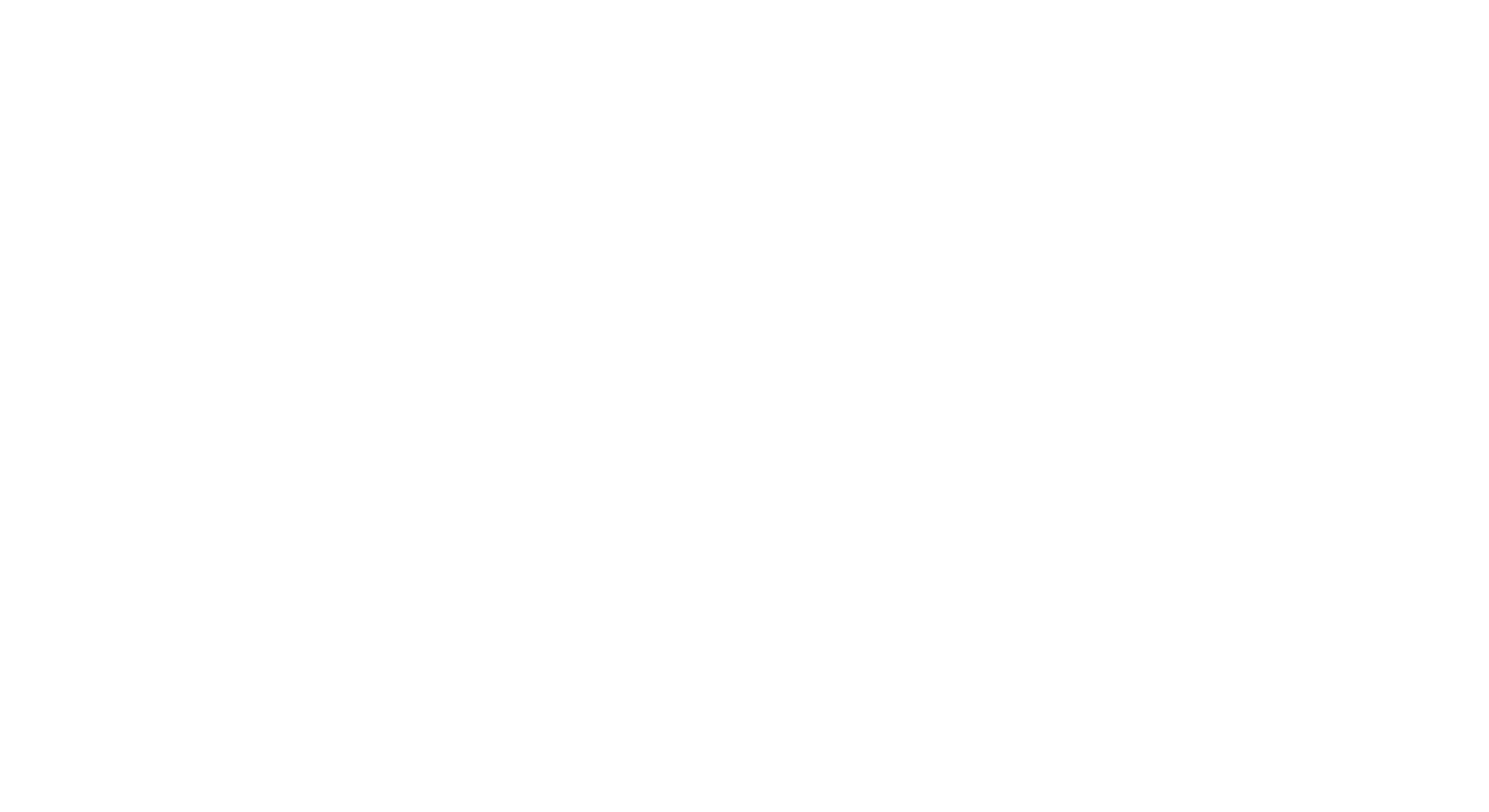 Zoom Fibre